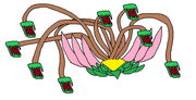 Pyuki