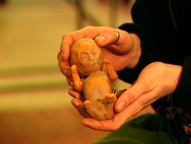 File:Alien fetus model.jpg