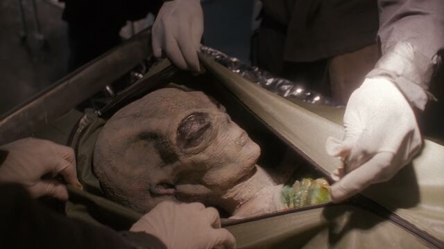 File:Nisei Alien.jpg