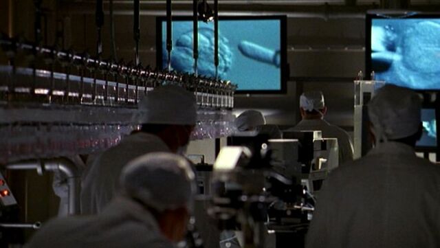 File:Manipulating ova.jpg