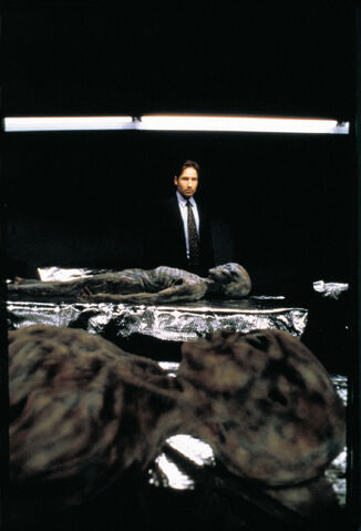 File:Mulder Pentagon Alien bodies Redux.jpg
