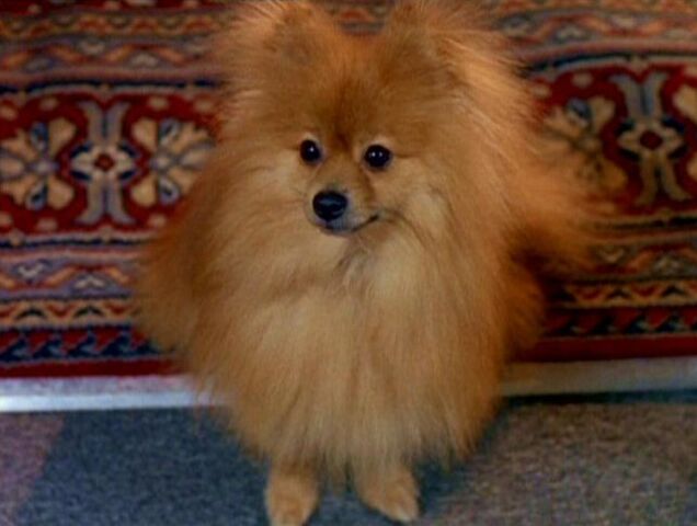 File:Queequeg.jpg