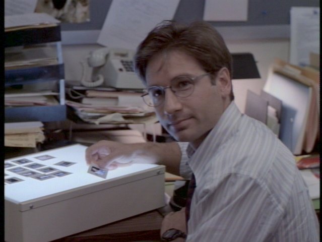 File:Mulpilot2.jpg