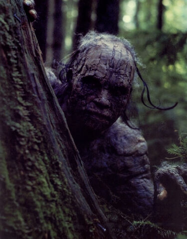 File:Detour Creature Woods.jpg