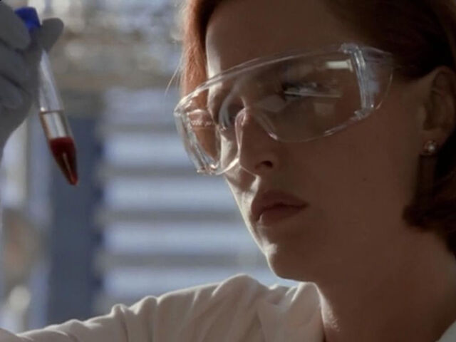 File:Sample.jpg