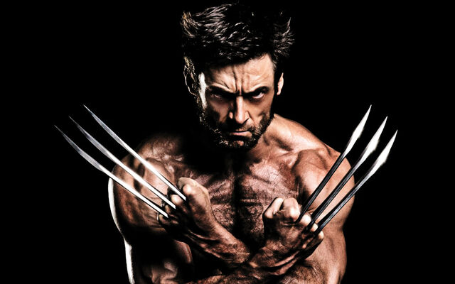 File:Wolverine-04.jpg