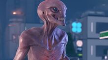 Firstxcom011280jpg-9b339c 1280w.jpg