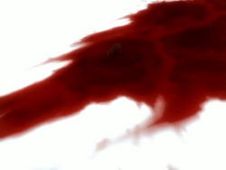 Vlcsnap-2011-05-05-15h42m42s193