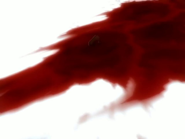 File:Vlcsnap-2011-05-05-15h42m42s193.png