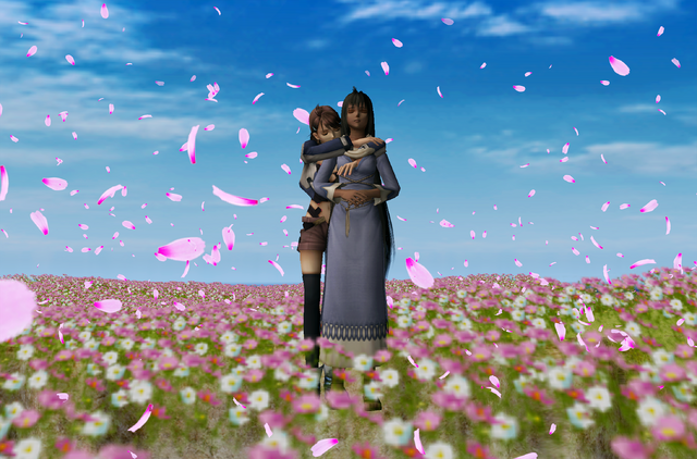 File:Field.png