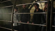 5x22 Snow David Hook Zelena