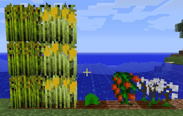 File:Crops.jpg