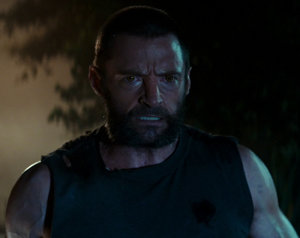 Archivo:X-24.png