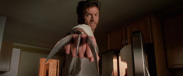 File:Wolverine x2.jpg