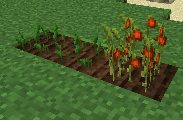 File:Tomato Plant.png