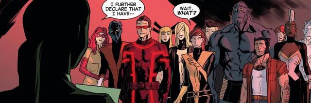 File:Paneloftheweek001.jpg
