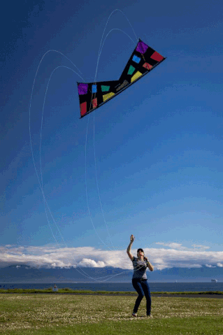 File:Sari Rev Catch 01.gif
