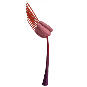 SPC PLANT007 300x300