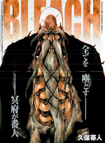 Bleach505raw3