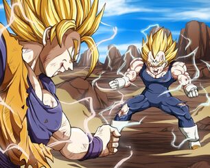 Vegeta and Goku 2