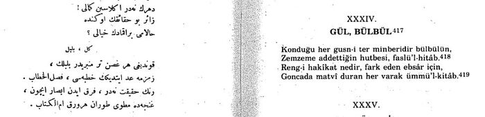 Gül bülbül.jpg