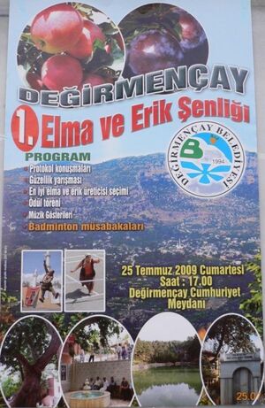 Değirmençay 1. elma ve erik şenliği.jpg