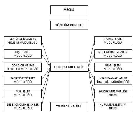 Organization