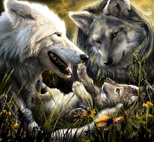 File:Wolves.jpg