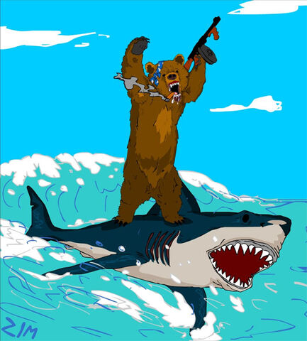 File:Bear-surfing-shark-1-.jpg