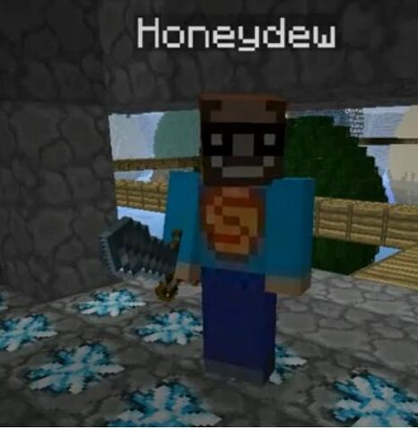 File:Honeydew skin.jpg