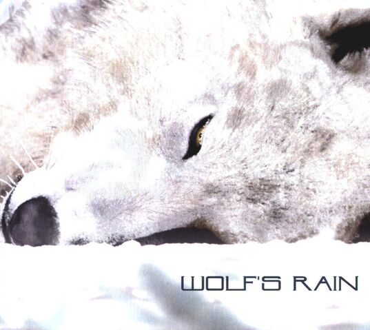 File:WolfsRain.jpg