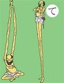 於2012年2月15日 (三) 08:18的縮圖版本