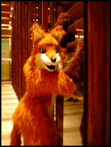 檔案:Firefox 02.jpg