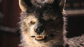 Thumbnail for version as of 15:48, March 10, 2014