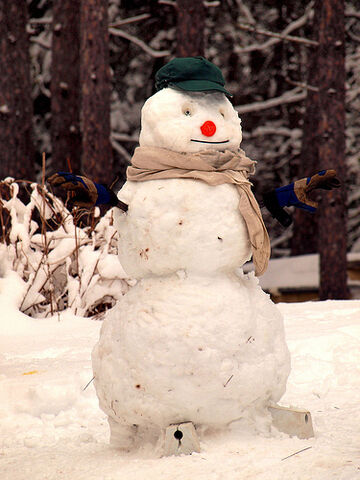 File:Chillin' Like a Villian!.jpg