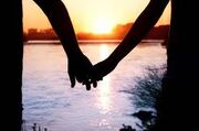 Hand in the sunset
