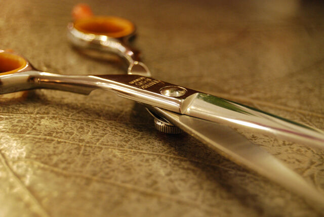 File:Scissors.jpg