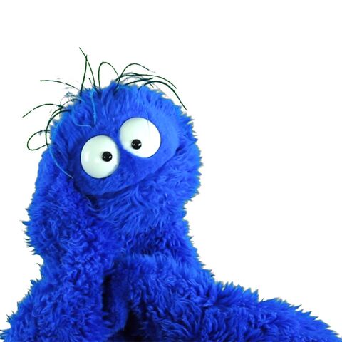 File:Arlo.jpg