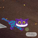 Pet