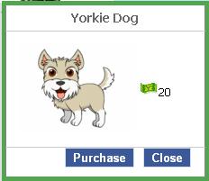 File:Yorkie dog.JPG