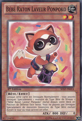 File:BabyRaccoonPonpoko-SHSP-FR-C-1E.png