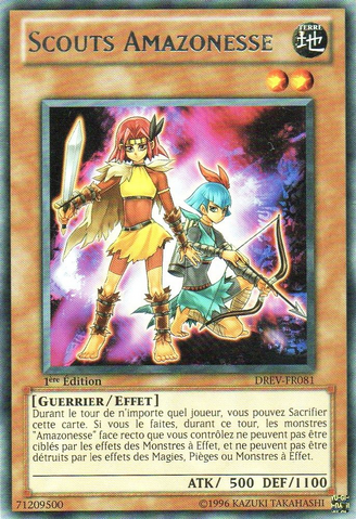 File:AmazonessScouts-DREV-FR-R-1E.png