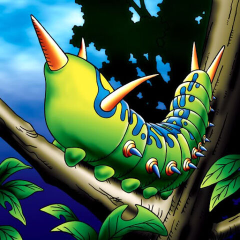 File:LarvaeMoth-TF04-JP-VG.jpg