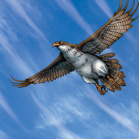 File:RisingAirCurrent-DG-EN-VG-Field.png