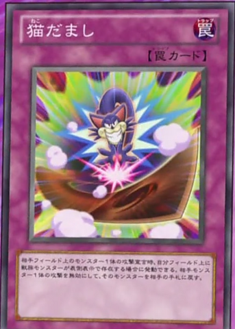 File:CatConfusion-JP-Anime-ZX.png