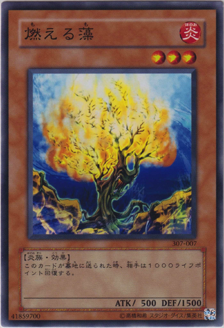 File:BurningAlgae-307-JP-C.png