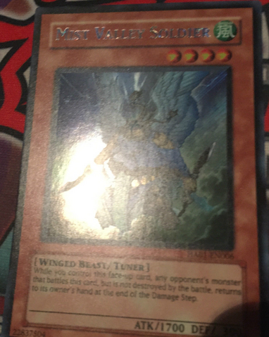 File:MistValleySoldier-HA01-EN-ScR-UE.png