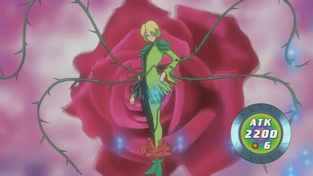 File:SplendidRose-JP-Anime-5D-NC.png