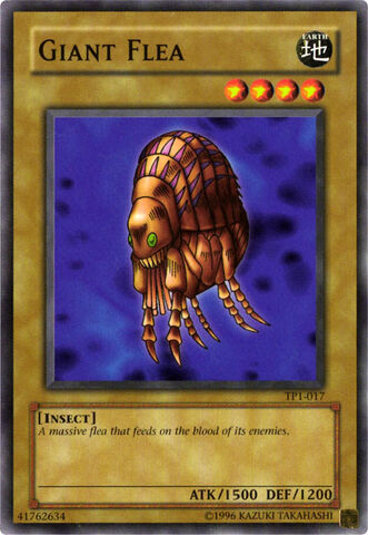 File:GiantFlea-TP1-NA-C-UE.jpg