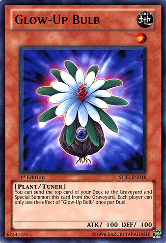 File:GlowUpBulb-STBL-EN-UR-1E.png